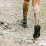 Fortgeschrittene Techniken an der Klimmzugstange